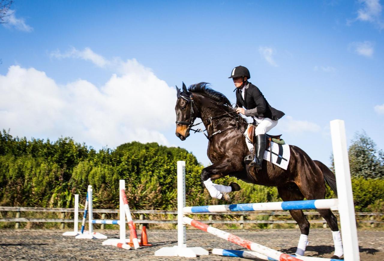 Bed and Breakfast Unique Equestrian Lifestyle à Tamahere Extérieur photo