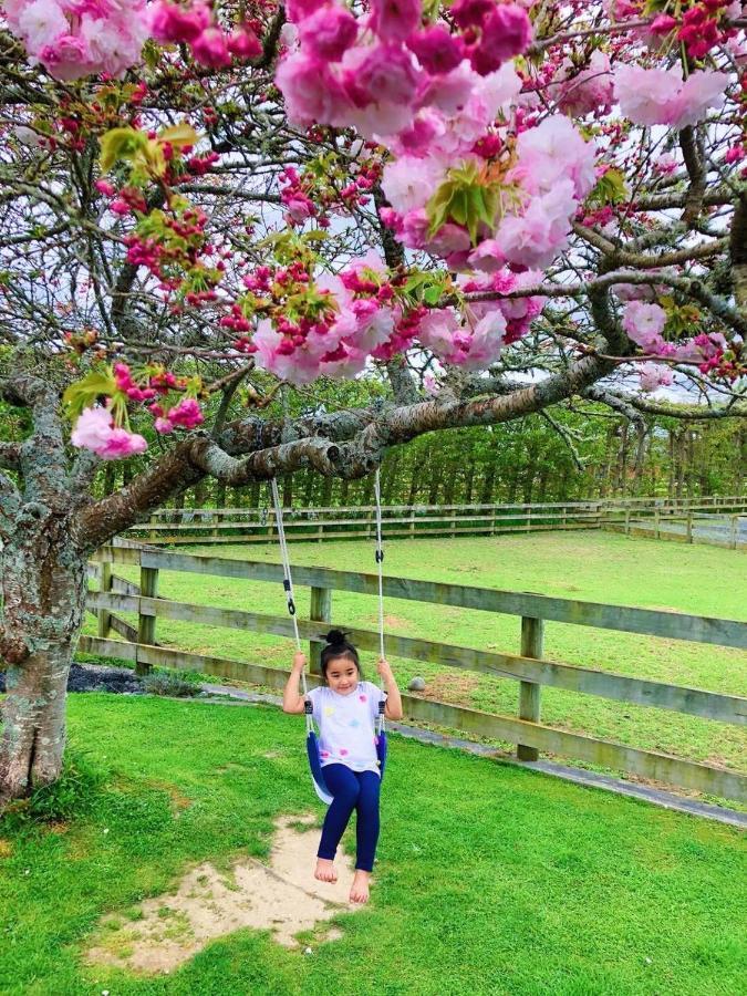 Bed and Breakfast Unique Equestrian Lifestyle à Tamahere Extérieur photo